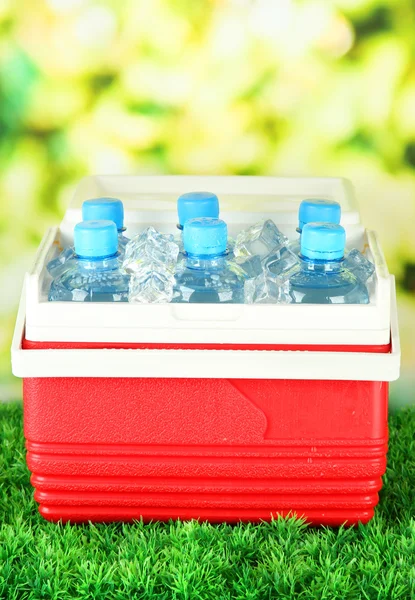 Picnic refrigerator with bottles of water and ice cubes on grass — Stock Photo, Image