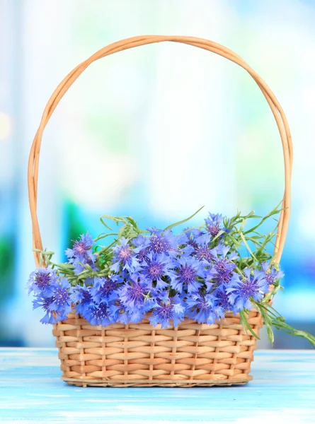 Schöner Strauß Kornblumen im Korb auf blauem Hintergrund — Stockfoto