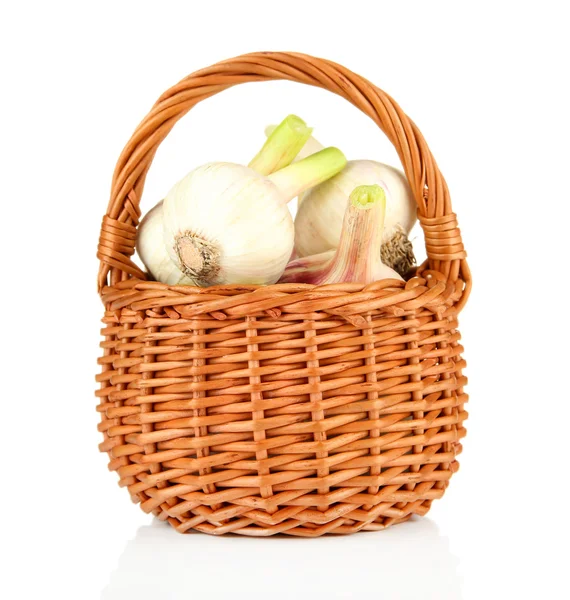 Frischer Knoblauch, in Weidenkorb isoliert auf weiß — Stockfoto