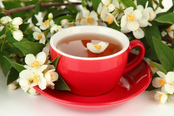 Tazza di tè con gelsomino, isolato su bianco — Foto Stock
