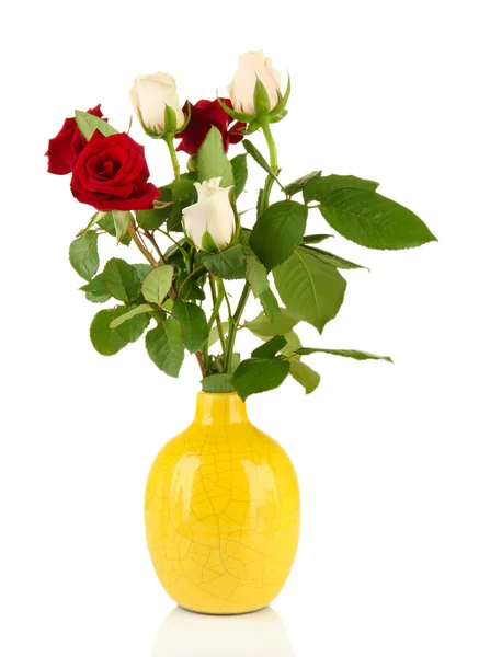 Beautiful roses in vase, isolated on white — Stock Photo, Image