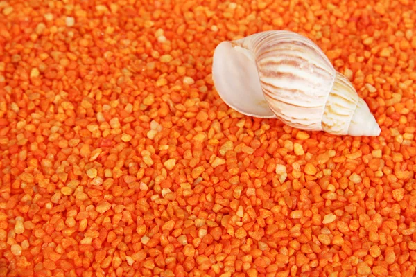 Shell on orange crystals of sea salt background — Stock Photo, Image