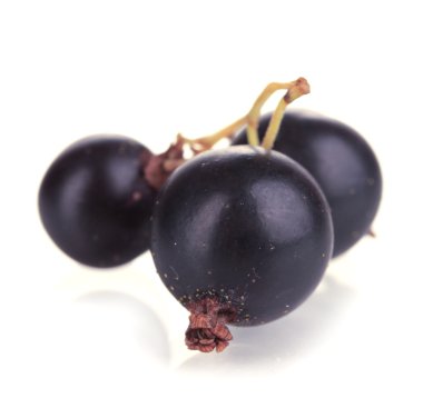 beyaz izole taze Siyah frenk üzümü