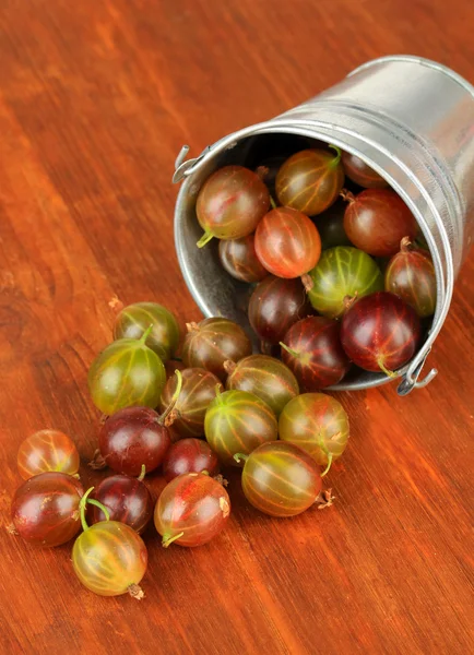 Frische Stachelbeeren im Eimer auf dem Tisch in Großaufnahme — Stockfoto