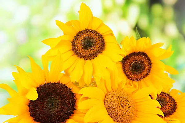 Heldere zonnebloemen op natuurlijke achtergrond — Stockfoto