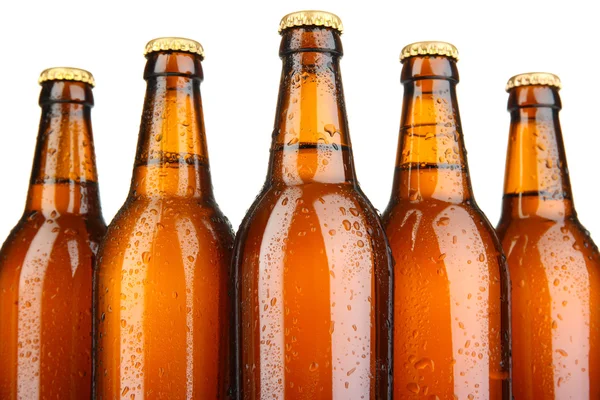 Birra bottiglie da vicino — Foto Stock