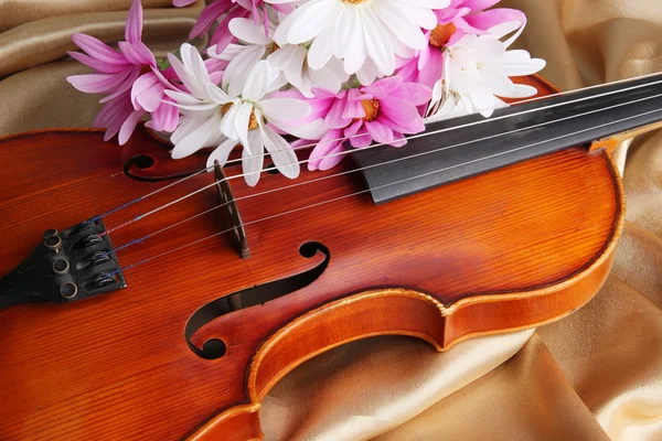 Classical violin on fabric background — Stock Photo, Image