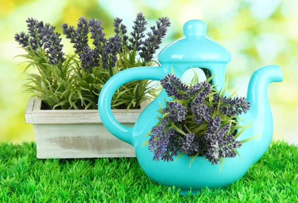 Pot met bloemen op het gras op de achtergrond van de natuur — Stockfoto