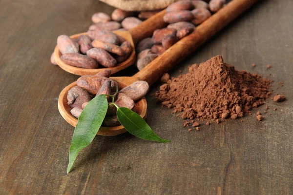 Haricots de cacao dans des cuillères et poudre de cacao sur fond en bois — Photo