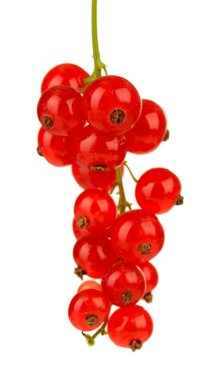 Frenk üzümü üzerinde beyaz izole Şubesi