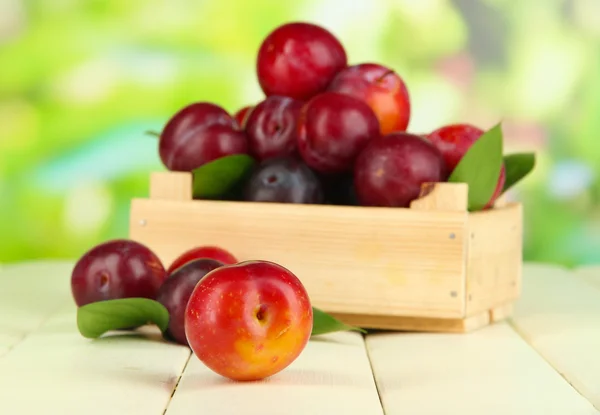 Ripe plums in wooden box on wooden table on natural background — Stock Photo, Image