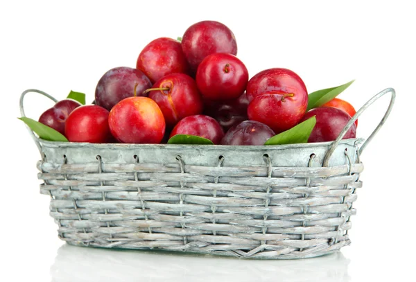 Ripe plums in basket isolated on white — Stock Photo, Image