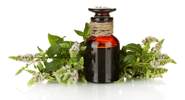 Aceite esencial y menta aislados en blanco — Foto de Stock