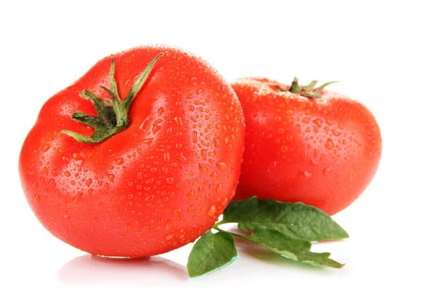 Zralá rajčata izolovaných na Svatodušní — Stock fotografie