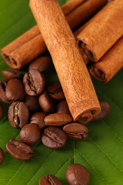 コーヒーの穀物と緑に荒布シナモン葉クローズ アップ — ストック写真