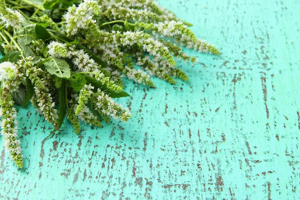 Frische Minzblüten auf blauem Holzhintergrund — Stockfoto