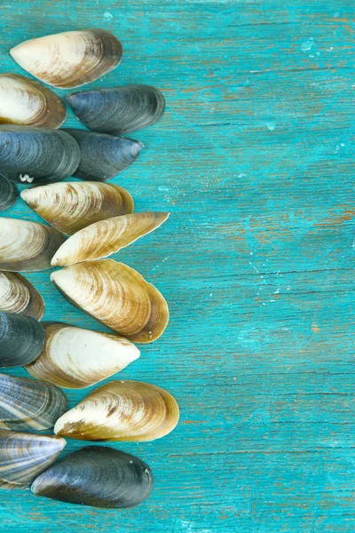 Conchas do mar em mesa de madeira azul close-up — Fotografia de Stock