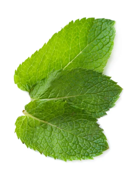 Fresh mint leaves isolated on white — Stock Photo, Image