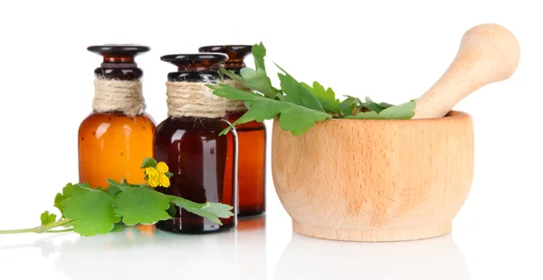 Blooming Celandine with medicine bottles isolated on white — Stock Photo, Image