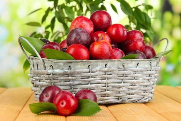 Ripe plums in basket on wooden table on natural background — Stock Photo, Image