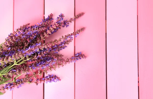 サルビアの花ピンクの木製の背景 — ストック写真