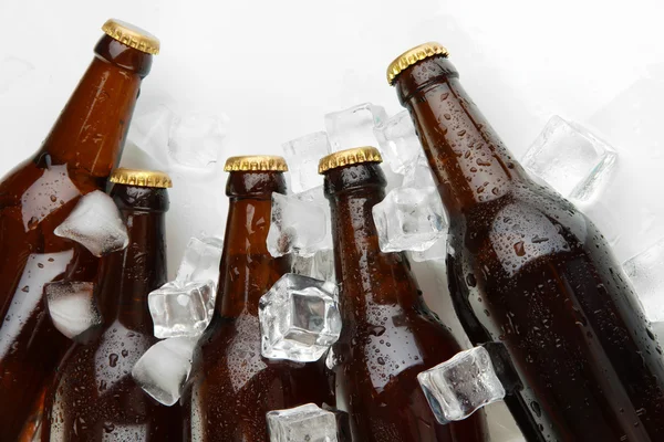 Botellas de cerveza en cubos de hielo de cerca —  Fotos de Stock