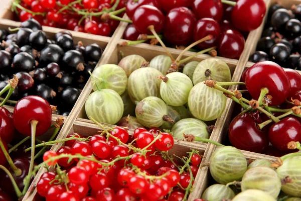 Different summer berries in wooden crate, close up — Stock Photo, Image