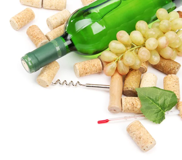 Bottle of wine, grapes and corks, isolated on white — Stock Photo, Image