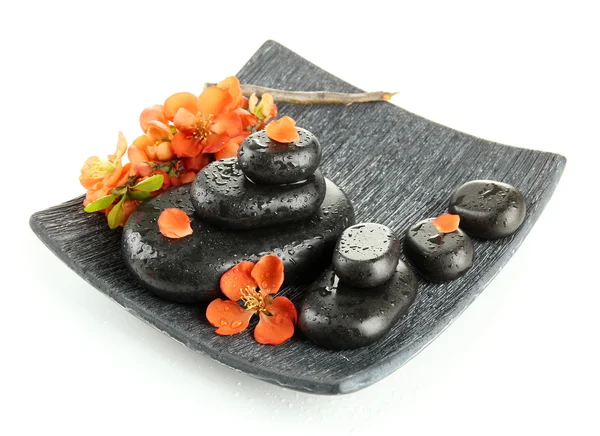 Piedras de spa y flores aisladas en blanco —  Fotos de Stock