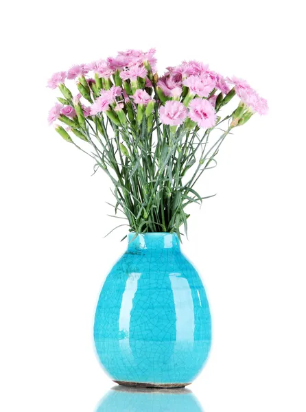 Viele kleine rosa Nelken in blauer Vase isoliert auf weiß — Stockfoto