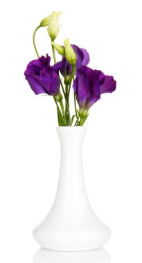 eustoma üzerinde beyaz izole Vazoda Çiçekler buket