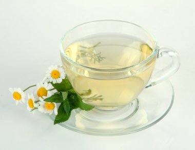 yabani camomiles ve nane, bitkisel çay beyaz izole