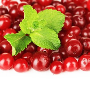 Olgun kırmızı kızılcık, Whit üzerinde izole