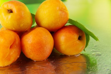 doğa zemin üzerine kayısı