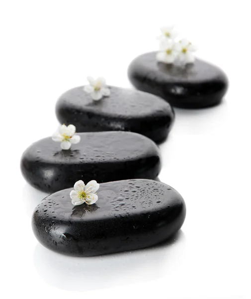 Piedras de spa y flores blancas aisladas en blanco — Foto de Stock