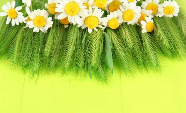 Green spikelets and wild camomiles, on wooden background — Stock Photo, Image