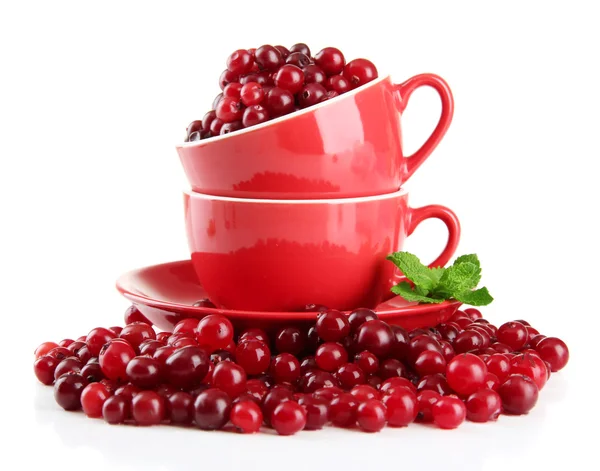 Ripe red cranberries in cups, isolated on whit — Stock Photo, Image