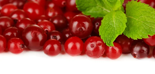 Ripe red cranberries, isolated on whit — Stock Photo, Image