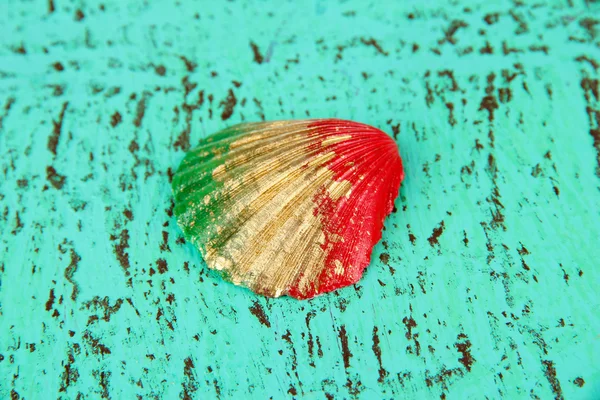 Conchiglia colorata su sfondo di legno a colori — Foto Stock
