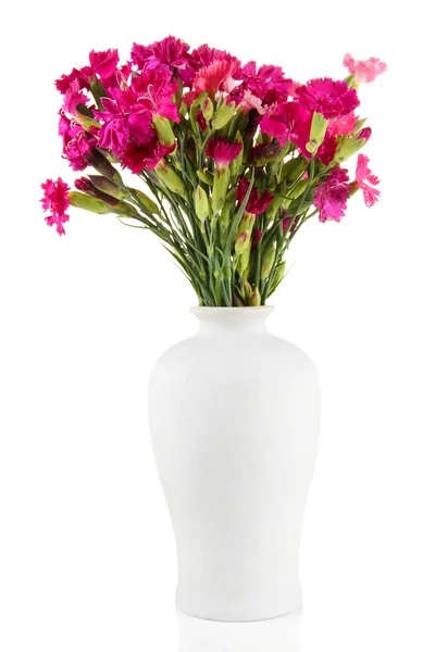 Bouquet di garofani in vaso, isolato su bianco — Foto Stock
