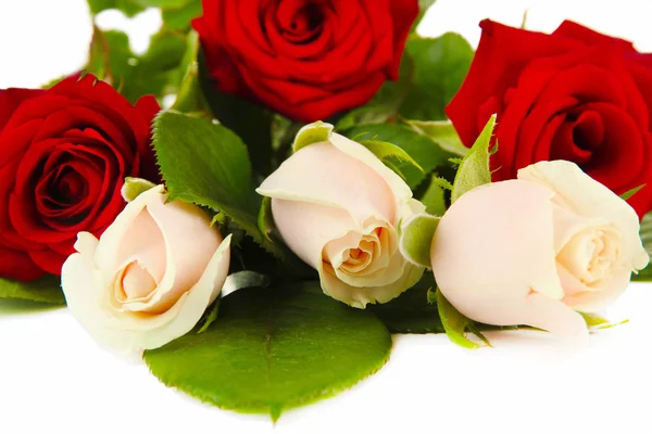 Hermosas rosas, aisladas en blanco — Foto de Stock