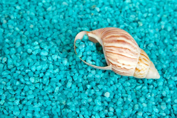 Shell on blue crystals of sea salt background — Stock Photo, Image