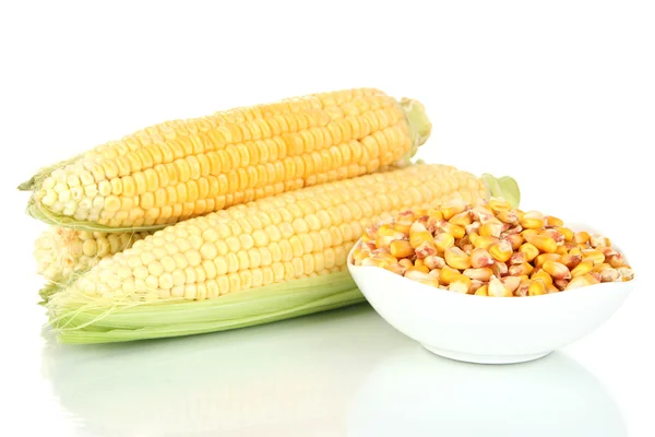 Legume de milho fresco isolado em branco — Fotografia de Stock