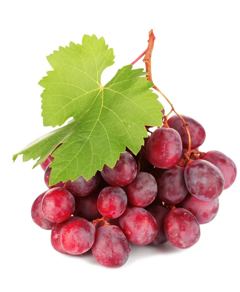 Ripe delicious grapes isolated on white — Stock Photo, Image