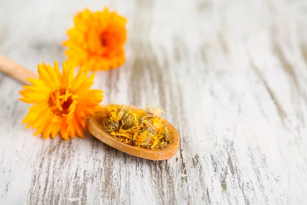 Fleurs de calendula fraîches et séchées sur fond bois — Photo