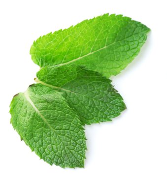 Taze nane yaprakları üzerinde beyaz izole