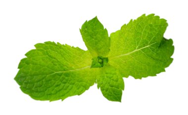 Taze nane yaprakları üzerinde beyaz izole