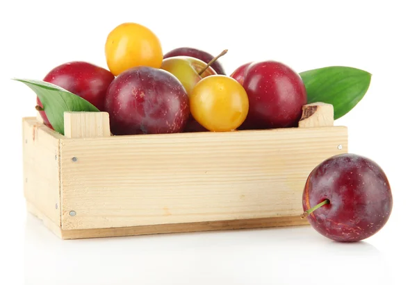 Ripe plums on wooden box isolated on white — Stock Photo, Image