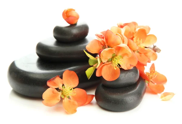 Piedras de spa y flores aisladas en blanco — Foto de Stock