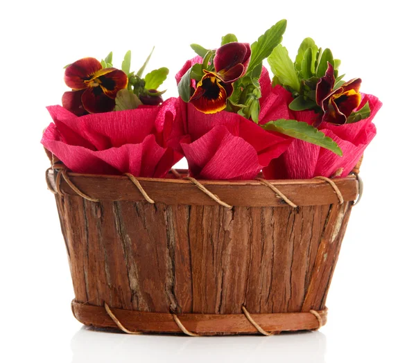 Beautiful pansies in wooden basket isolated on white — Stock Photo, Image